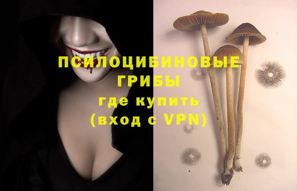 мдма Ветлуга