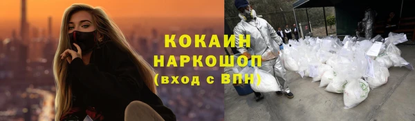 СК Гусь-Хрустальный