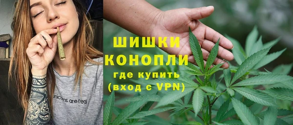молекула духа Гусиноозёрск