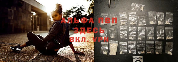 молекула духа Гусиноозёрск