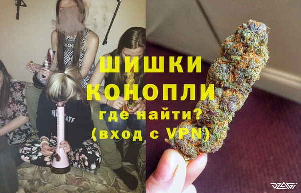 молекула духа Гусиноозёрск