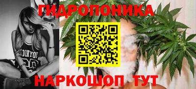 Альфа ПВП Бийск