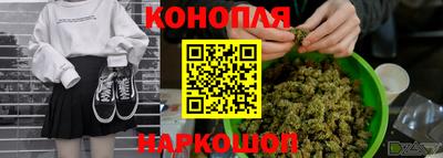 гашик Берёзовский