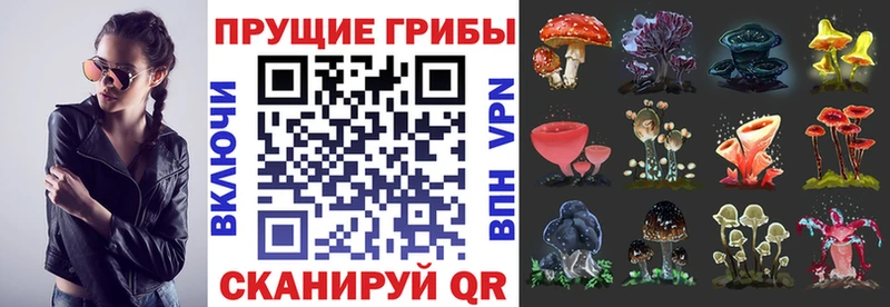 Псилоцибиновые грибы GOLDEN TEACHER  сайты даркнета Telegram  Дубна  цены наркотик 