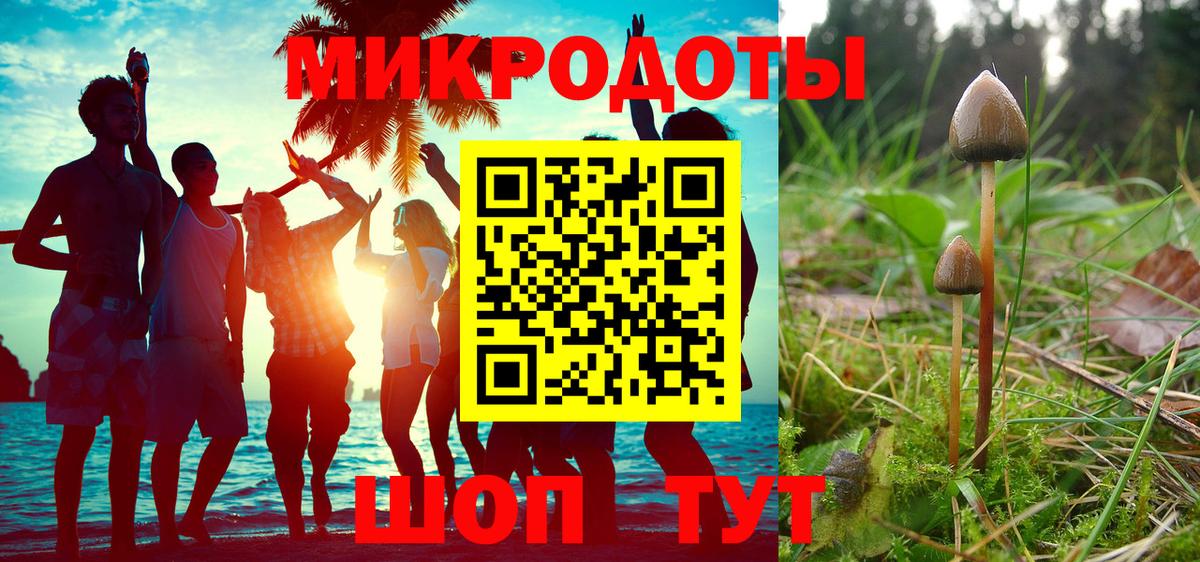 Псилоцибиновые грибы Psilocybine cubensis  Вход с VPN  Дубна 