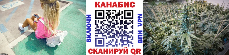 Конопля план Дубна